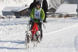 Lenk 2012 SM